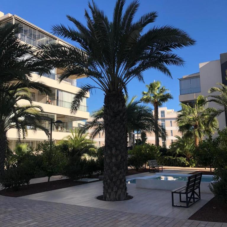 Family apartment greenhills villamartin with spa - Apartamento de 2 dormitorios - 24