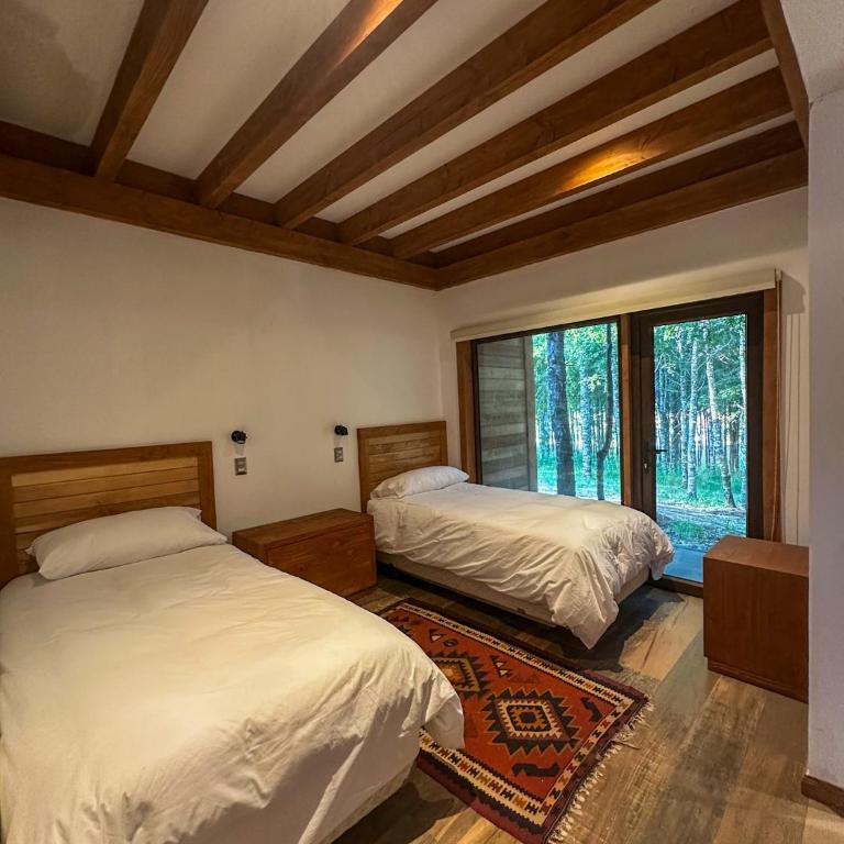 Claro de Luna Luxury House - Casa de 5 dormitorios - 16