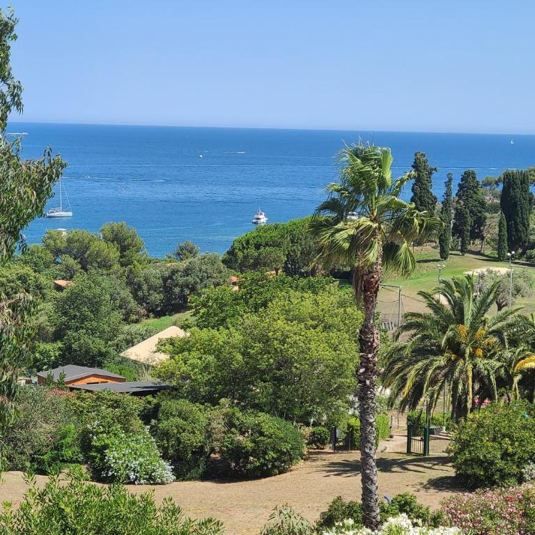 Rev'Azur T1 - Vue mer - Grande terrasse - Apartment - 15