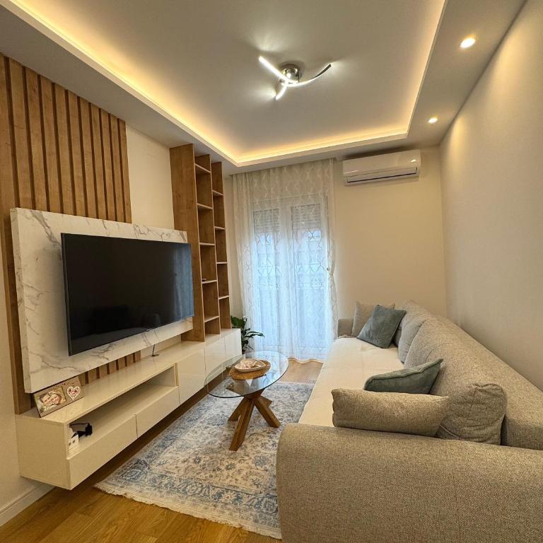 Stan AP Central Podgorica - One-Bedroom Apartment - 1