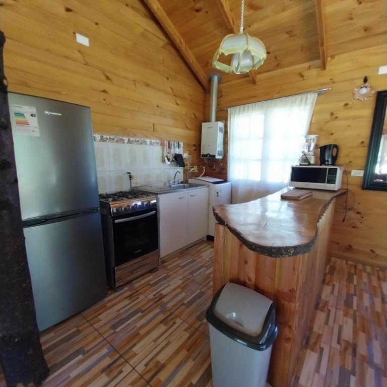 Amanecer de Caburgua - Two-Bedroom Apartment - 6