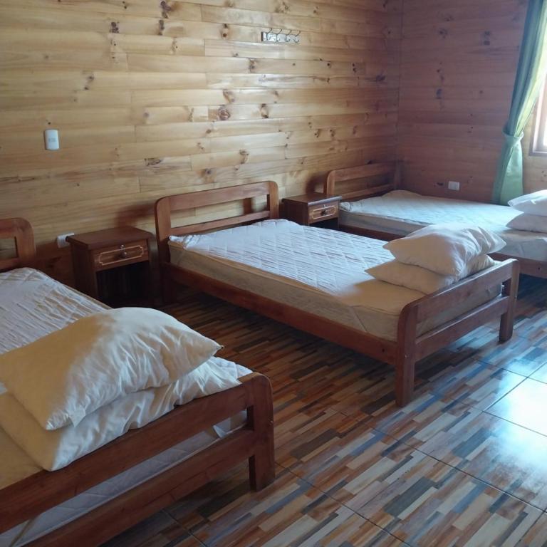 Amanecer de Caburgua - Two-Bedroom Apartment - 10