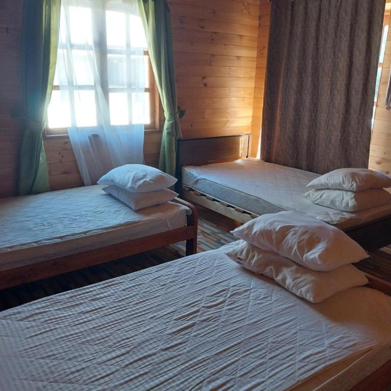 Amanecer de Caburgua - Two-Bedroom Apartment - 9