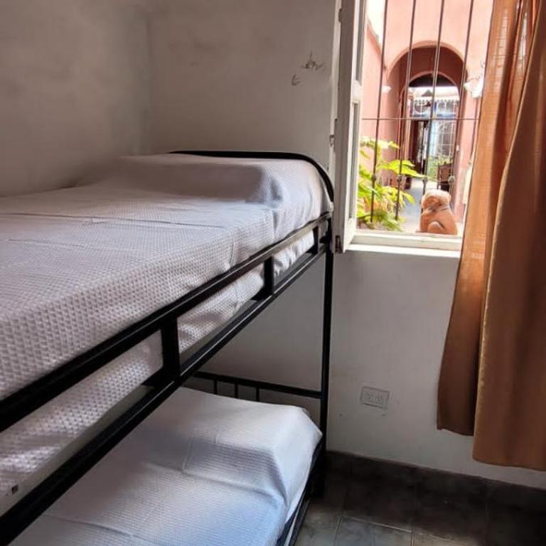 Urban Salta Hostel - Budget Double Room - 3
