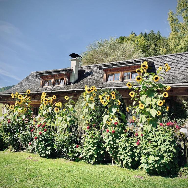 Rafting Camp Palfau - Apartment mit 2 Schlafzimmern - 3