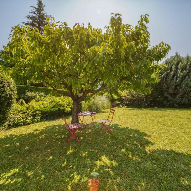 Villa Piscine Eau Salée avec jeux multiples - Villa - 10