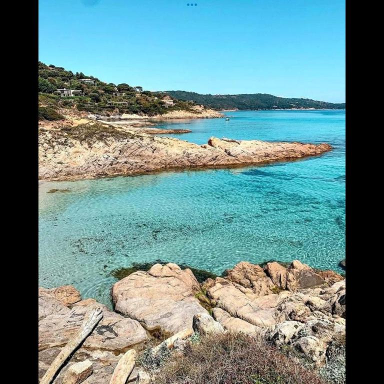 Appartement climatisé Bord de Mer La Faviere - Apartamento con terraza - 23