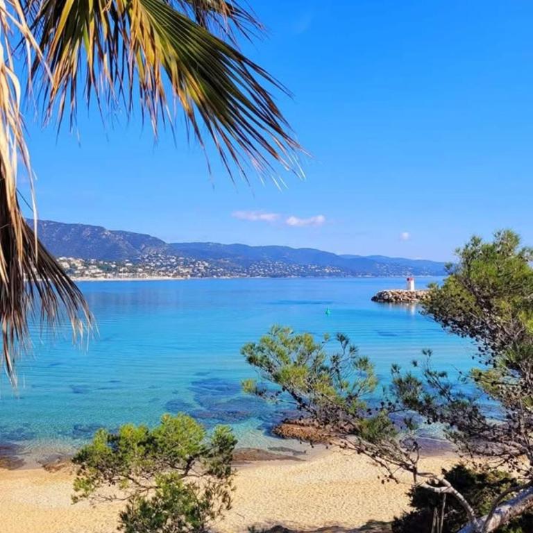 Appartement pieds dans l’eau Vue Mer Bormes Les Mimosas - One-Bedroom Apartment - 26