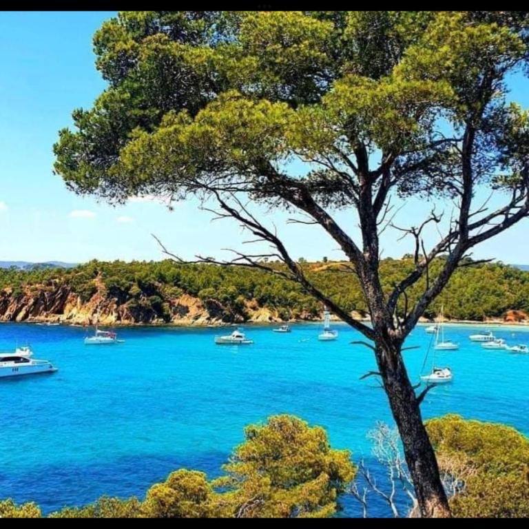 Appartement pieds dans l’eau Vue Mer Bormes Les Mimosas - One-Bedroom Apartment - 29