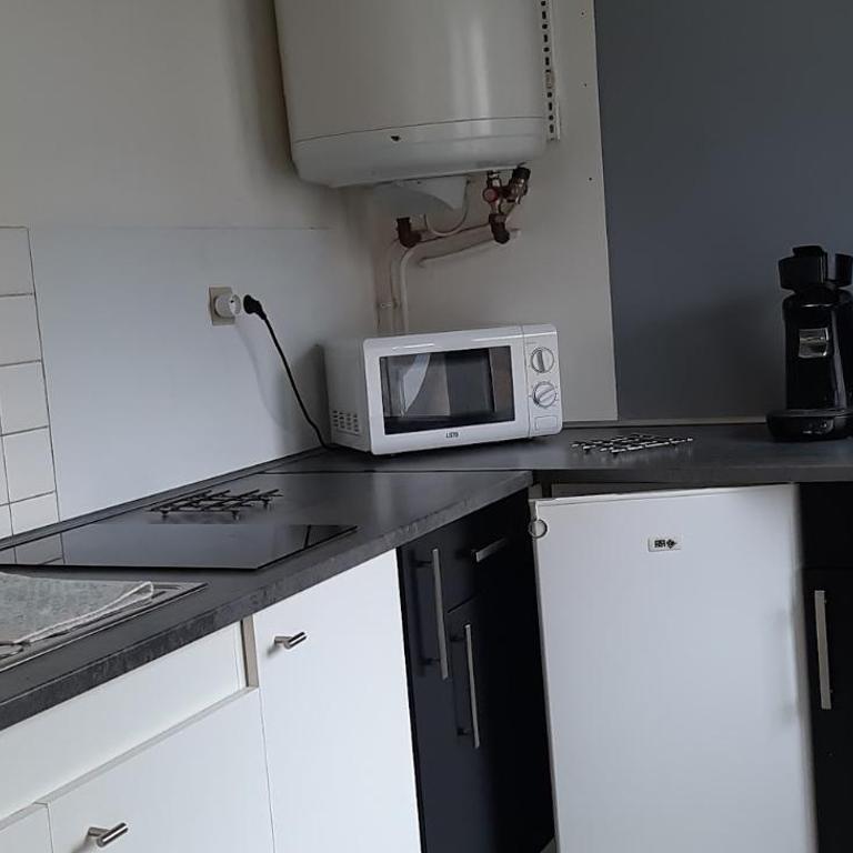 studio lumineux axe centre ville facs chu - Appartement 1 Chambre - 3