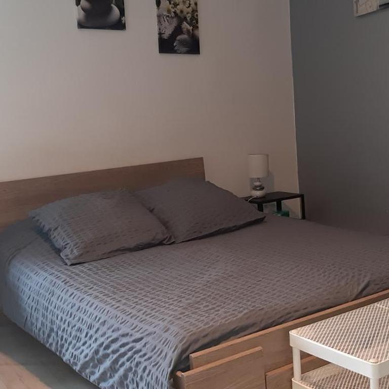 studio lumineux axe centre ville facs chu - Appartement 1 Chambre - 2