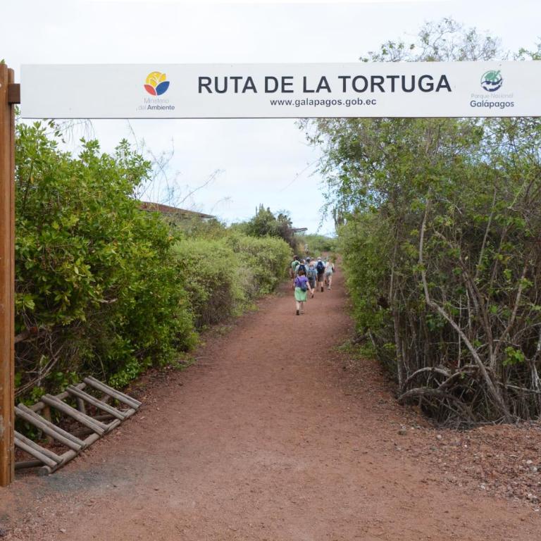 Apartment Centro Puerto Ayora - Two-Bedroom Apartment - 39