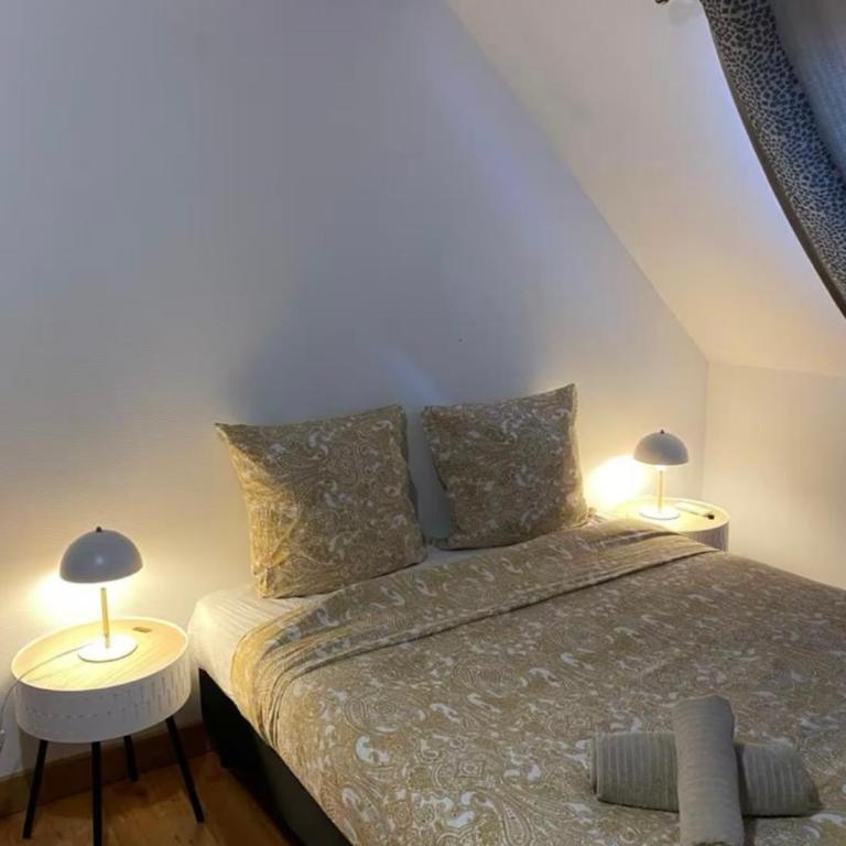 Magnifique Duplex à 600m du Martroi - One-Bedroom Apartment - 7