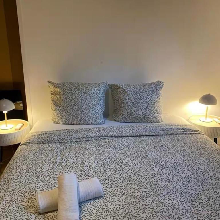 Magnifique Duplex à 600m du Martroi - One-Bedroom Apartment - 6