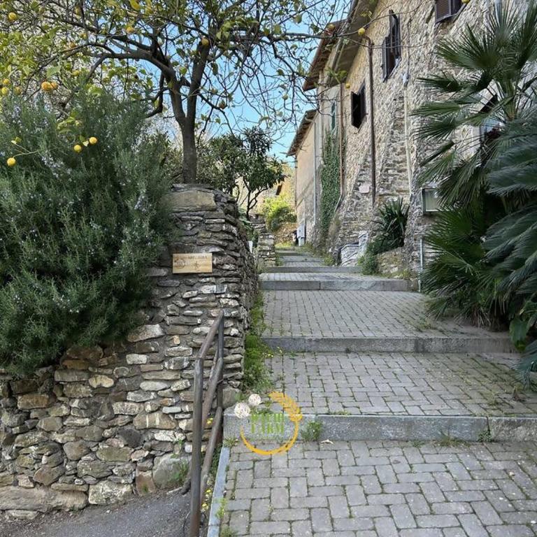 Appartamento Alba Dachi Farm - Appartamento con 1 Camera da Letto - 25