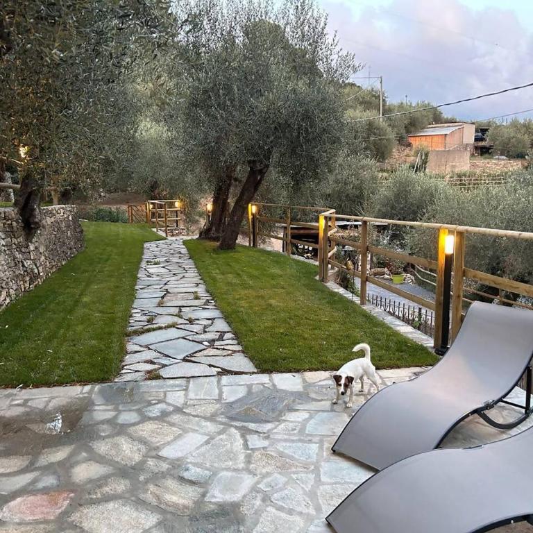 Appartamento Alba Dachi Farm - Appartamento con 1 Camera da Letto - 22