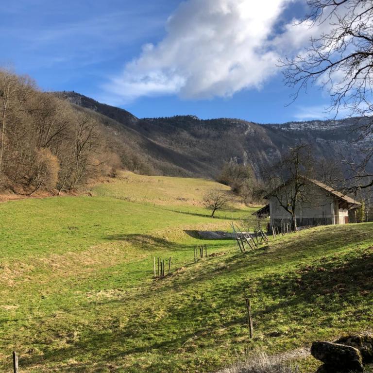 Gite La Grange sur les Bois - Maison 5 Chambres - 18