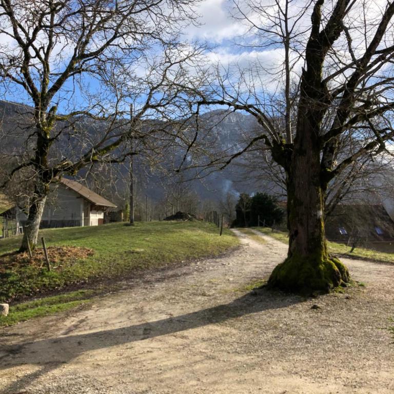 Gite La Grange sur les Bois - Maison 5 Chambres - 20