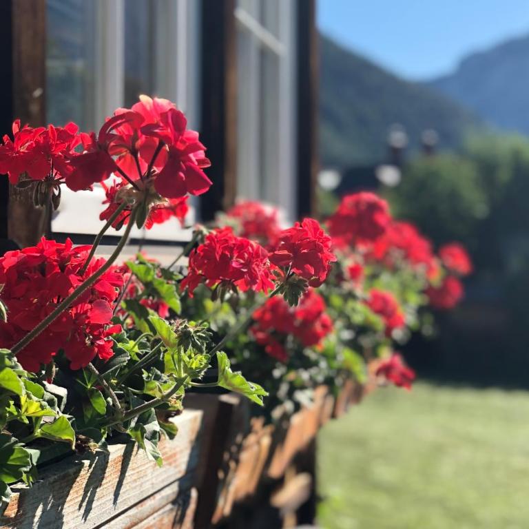 Villa Bellevue Altaussee - Villa - 21
