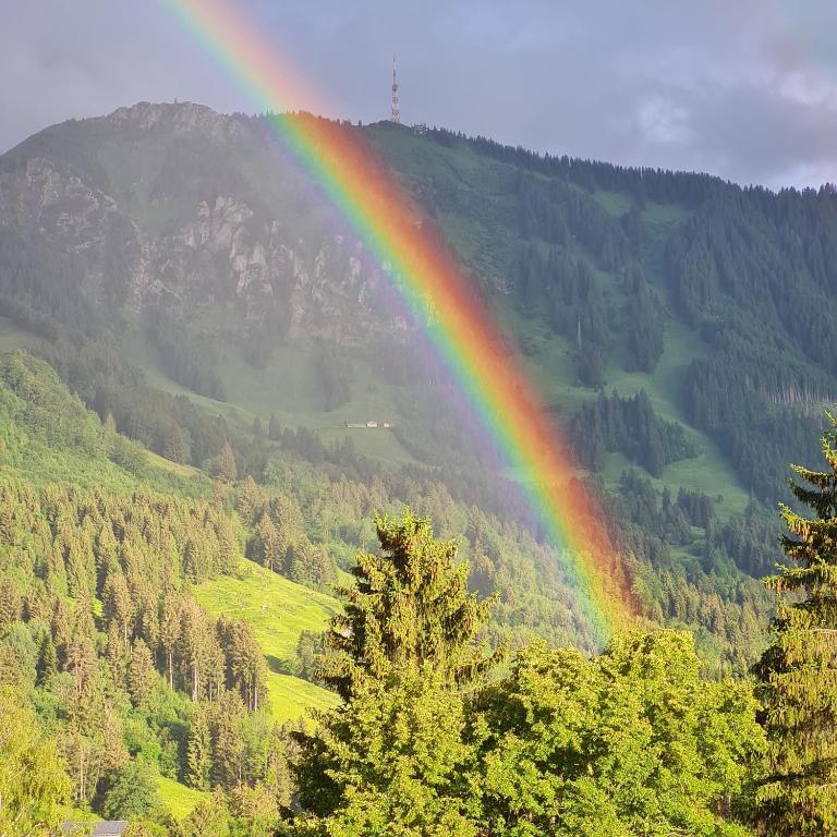 Ferienwohnung Grüntenausblick Bergblick & 2 Balkone im Allgäu - Apartment mit 1 Schlafzimmer, Balkon und Bergblick - 35