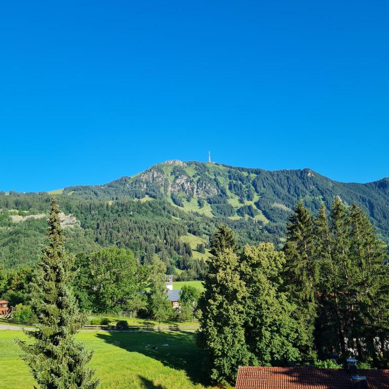 Ferienwohnung Grüntenausblick Bergblick & 2 Balkone im Allgäu - Apartment mit 1 Schlafzimmer, Balkon und Bergblick - 16