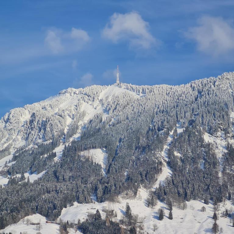 Ferienwohnung Grüntenausblick Bergblick & 2 Balkone im Allgäu - Apartment mit 1 Schlafzimmer, Balkon und Bergblick - 29