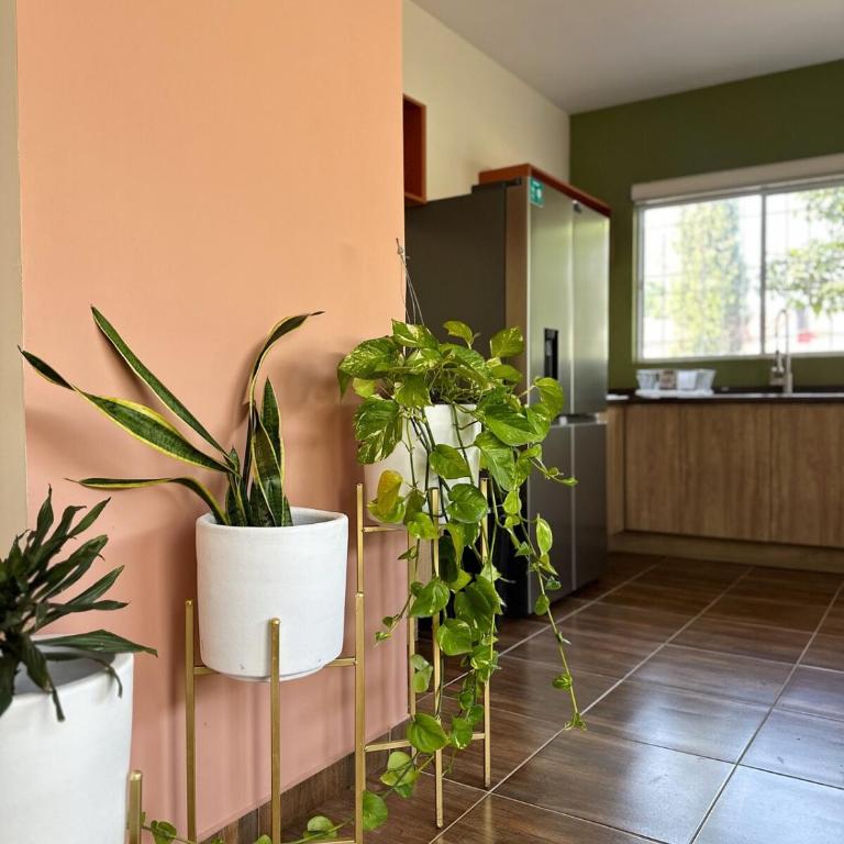Casa Membrillo in Tlaquepaque - Two-Bedroom Apartment - 21