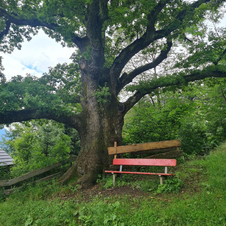 Ferienwohnung Grüntenausblick Bergblick & 2 Balkone im Allgäu - Apartment mit 1 Schlafzimmer, Balkon und Bergblick - 36