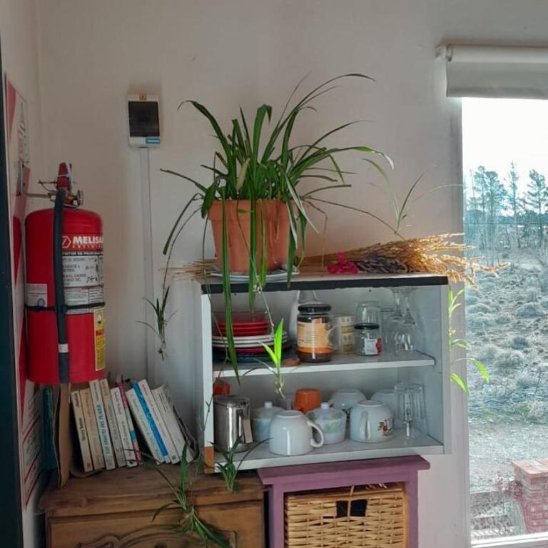 Departamento Patagónico - Apartment - 5