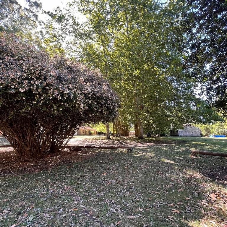 San Pedro de la Vigilancia - Chalet - 18