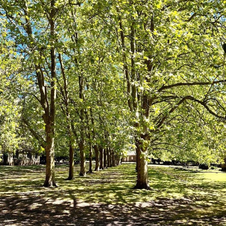 San Pedro de la Vigilancia - Chalet - 19