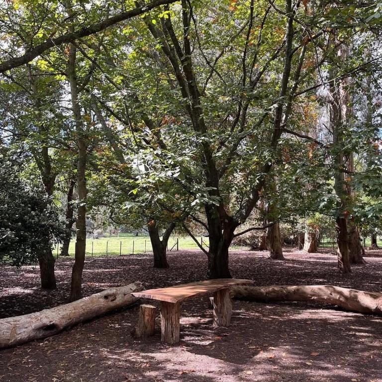 San Pedro de la Vigilancia - Chalet - 12