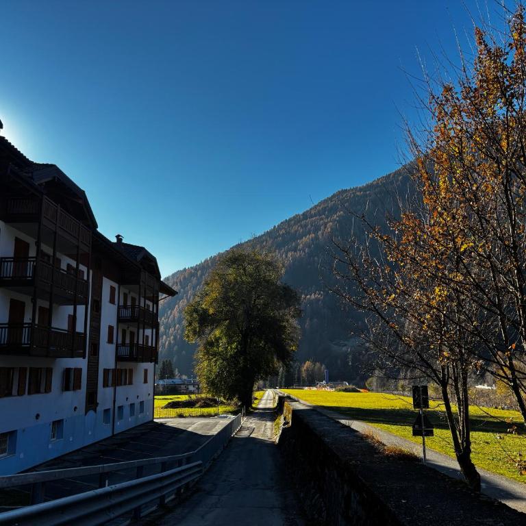 La Stella delle Dolomiti - Pinzolo - Apartamento de 2 dormitorios - 16