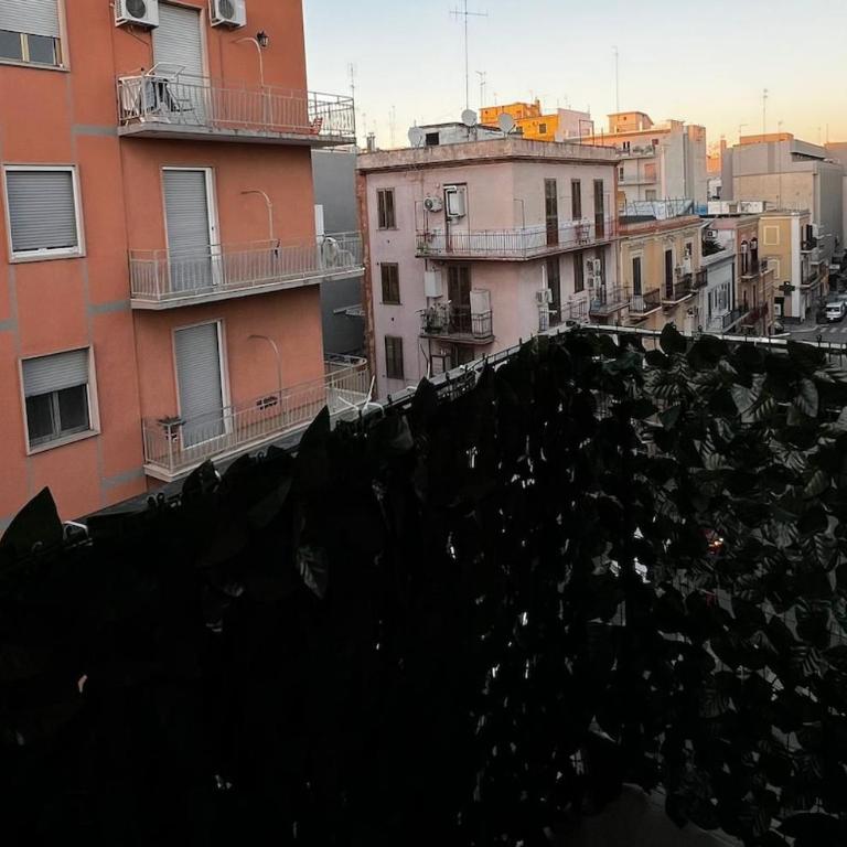 the green house - Appartamento con 1 Camera da Letto - 17