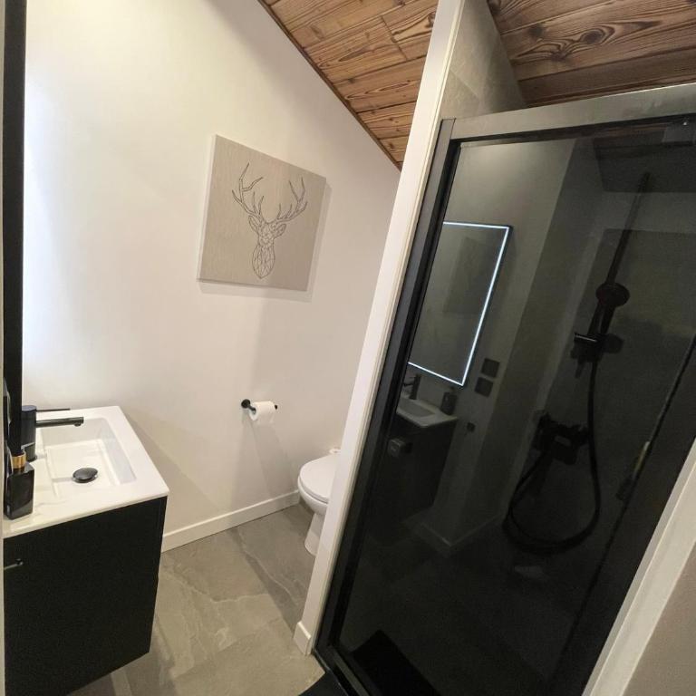 Duplex départ randonnée Megeve - Appartement - 14