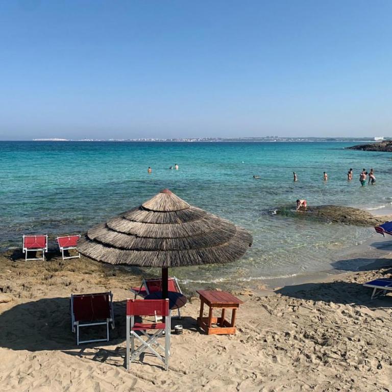 Villetta dei Fiori, vicino Spiaggia di Punta Pizzo - Villa - 46
