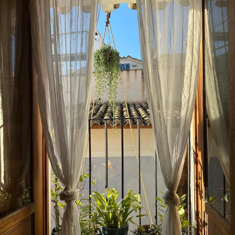 Oldtown family house with amazing terrace - 3 minutes from beach! - Haus mit 2 Schlafzimmern - 31