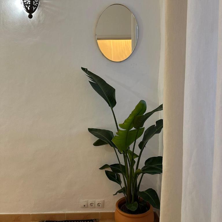 Oldtown family house with amazing terrace - 3 minutes from beach! - Haus mit 2 Schlafzimmern - 13