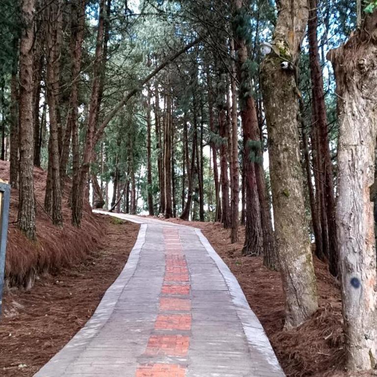 FINCA DELFOS UN PARAISO A 15 MINUTOS DE BOGOTÁ - Chalet de 1 dormitorio - 4