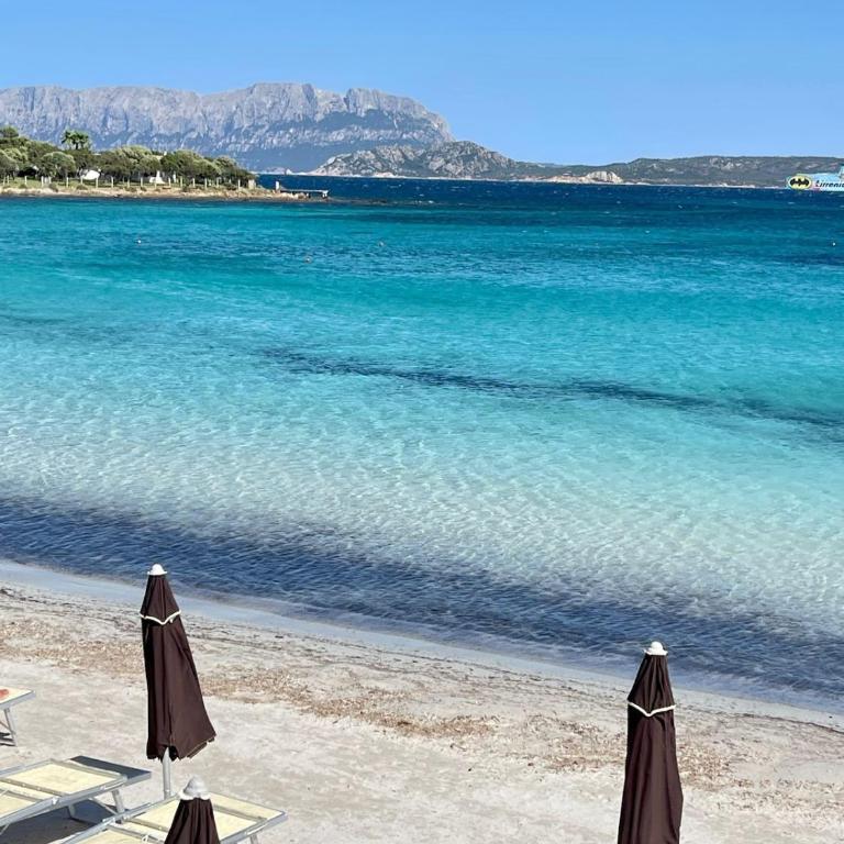 Beach House Ilaria Acquamarina Apt - Appartamento - 21