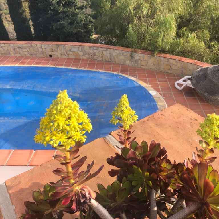 Finca La Estrella de Cómpeta - Casa de 3 dormitorios - 14