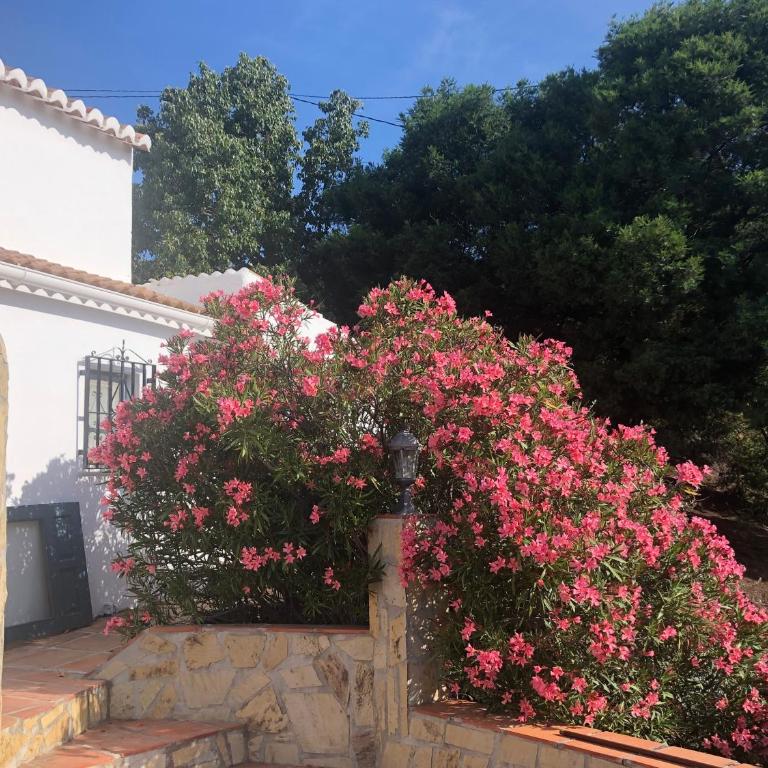 Finca La Estrella de Cómpeta - Casa de 3 dormitorios - 31