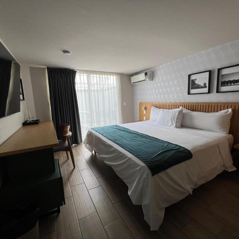 Oliva Plaza Hotel - Habitación Ejecutiva - 3