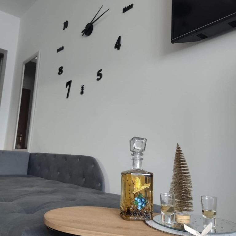 Apartman Dunja - Apartman sa 1 Spavaćom Sobom - 3