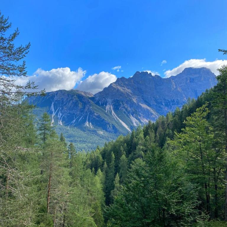Exclusive Central Chalet, 5 min Sky Slopes, Garage - Appartamento con 3 Camere da Letto - 32