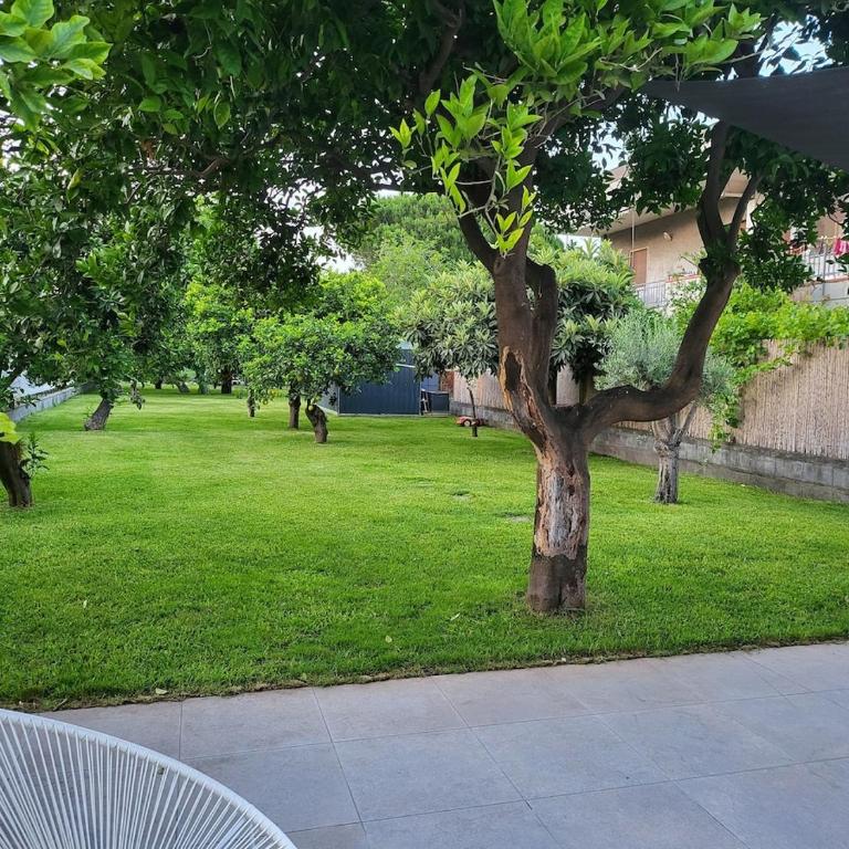 Oasi Agrumi e Mare - Casa con 2 Camere da Letto - 6