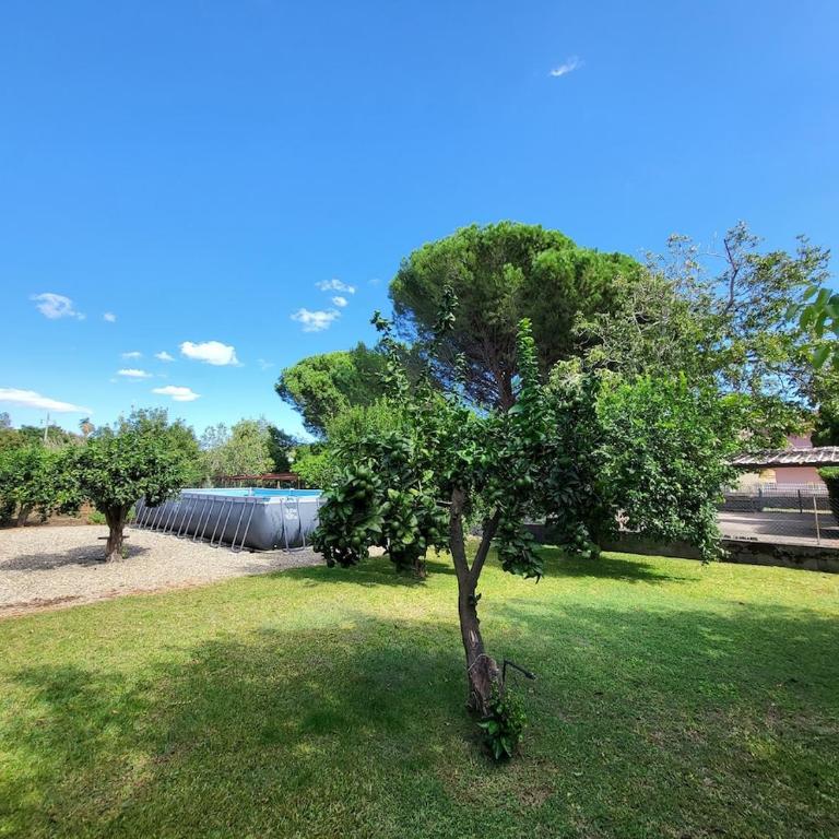 Oasi Agrumi e Mare - Casa con 2 Camere da Letto - 14