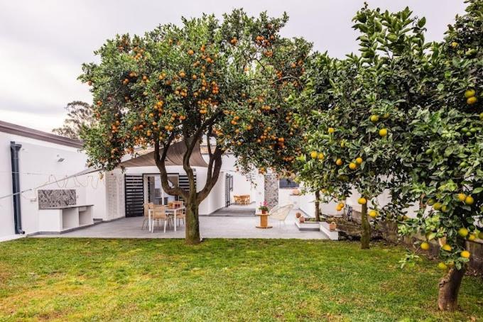 Oasi Agrumi e Mare - Casa con 2 Camere da Letto - 19