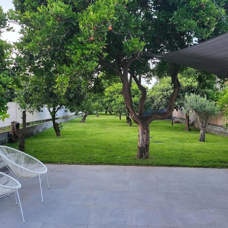 Oasi Agrumi e Mare - Casa con 2 Camere da Letto - 20