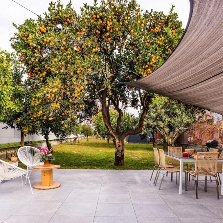 Oasi Agrumi e Mare - Casa con 2 Camere da Letto - 24